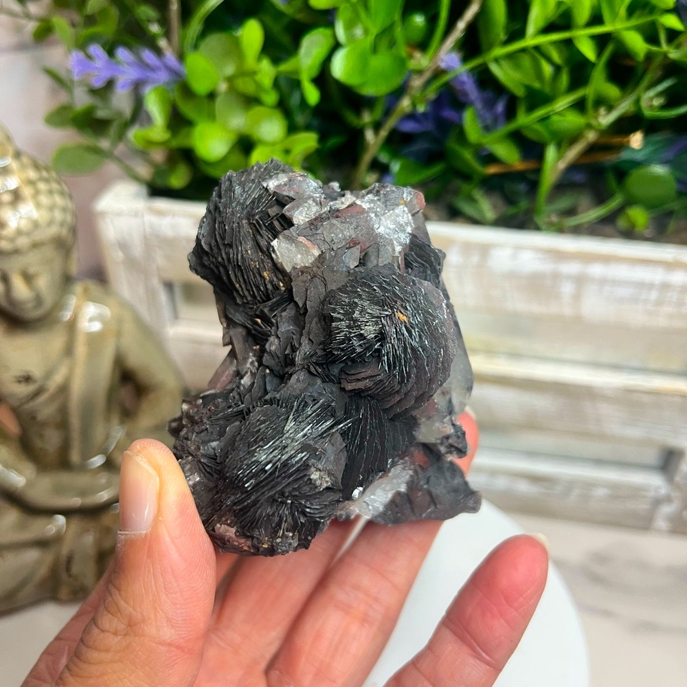 ‼️CLOSED MINE‼️Specularite Rose with Quartz